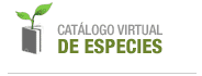catalogo de plantas