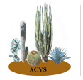 logo acys